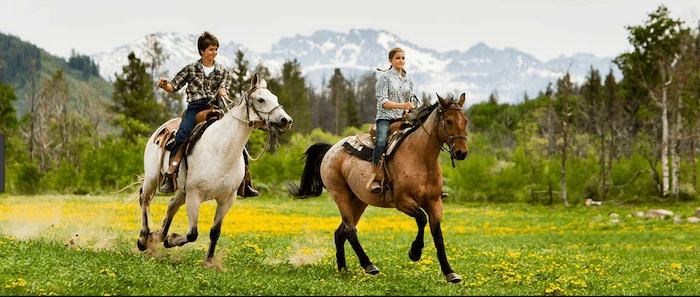 Confident plus-size woman riding Wraysbury a horse through a field with a smile on her face.